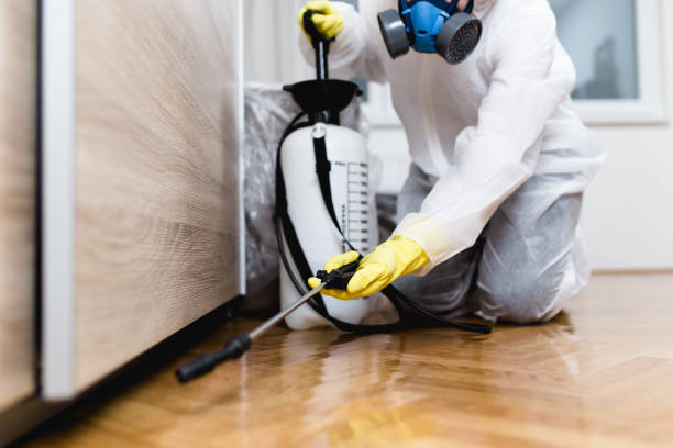 Best Emergency Pest Control  in White Hall, AR