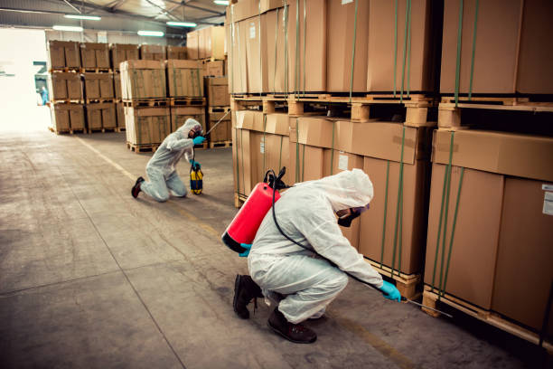 Wildlife Control Services in White Hall, AR