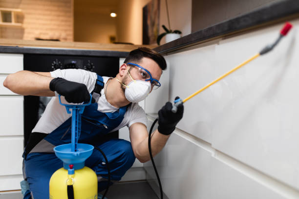 Best Pest Control Near Me  in White Hall, AR