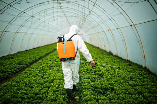 Best Pest Removal Services  in White Hall, AR