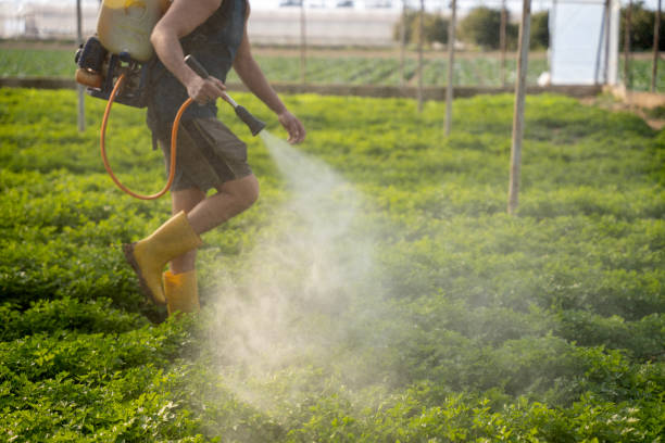 Best Pest Control Treatment  in White Hall, AR