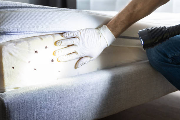 Best Wildlife Control Services  in White Hall, AR