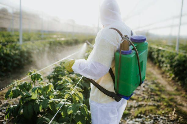 Best Best Pest Control Companies  in White Hall, AR
